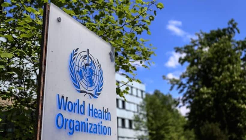 NeoCov coronavirus discovered by Chinese scientists need further study, says WHO