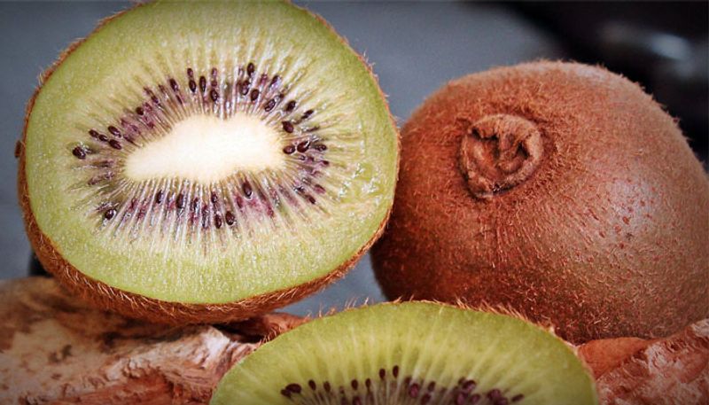 how to grow kiwi fruit