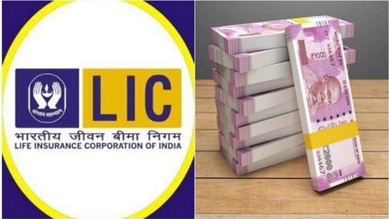 LIC policy lapsed  how you can revive it apk 