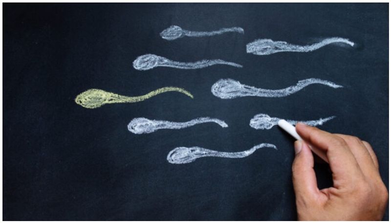 Israeli scientists develop 3D sperm-cell imaging tech