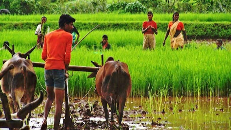 Free electricity supply scheme for agriculture canceled...Electric Board Description