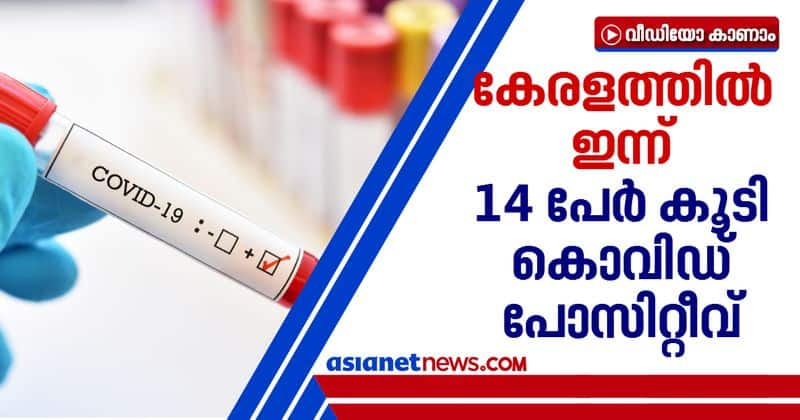 covid 19 positive for 14 people in kerala