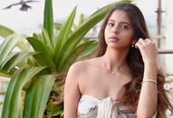 King Khan's daughter posted a hot photo again, know what was the reaction