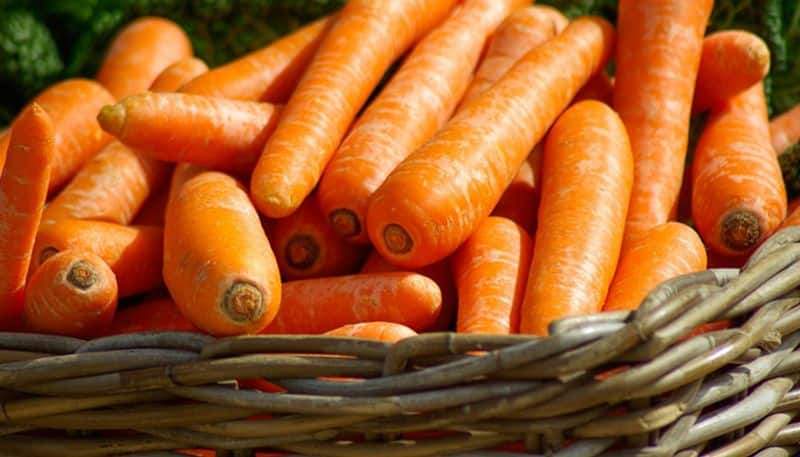 grow carrot as indoor plant