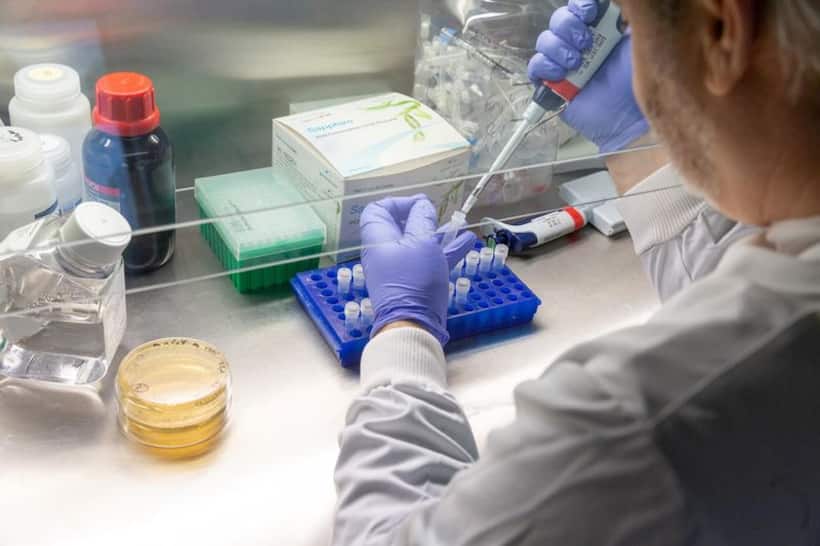 Accusations of US states fudging or bungling COVID 19 testing data surface