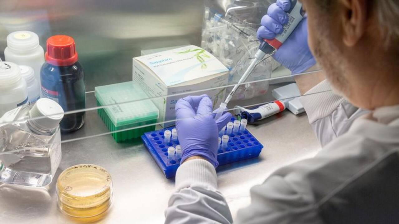 Accusations of US states fudging or bungling COVID 19 testing data surface