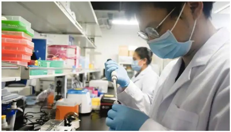 will cure covid without a vaccine claims a chinese laboratory, antibody medicine to come soon