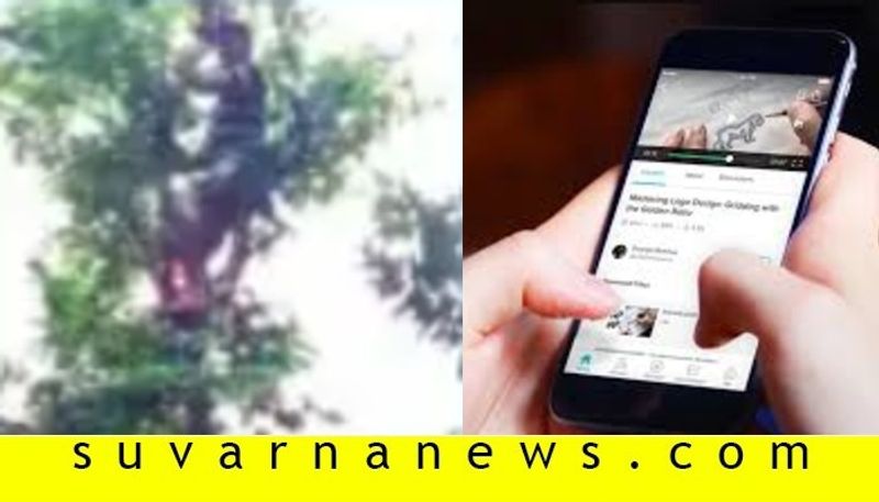 Student in sirsi claims tree to attend online classes