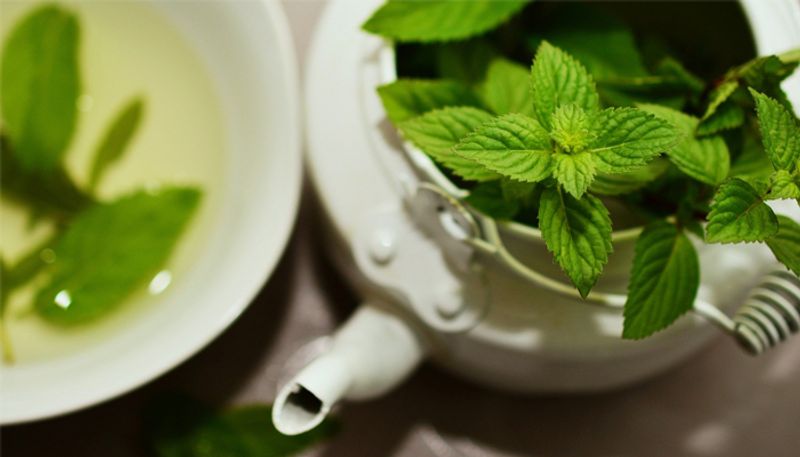 grow mint in your kitchen