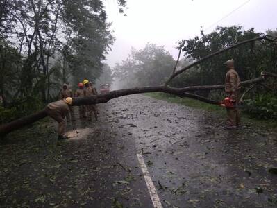 कहीं उड़ गई छत तो कहीं उखड़ गए पेड़, प्लेन भी कांपने लगा...'अम्फान' तूफान के तबाही की देखिए तस्वीरें