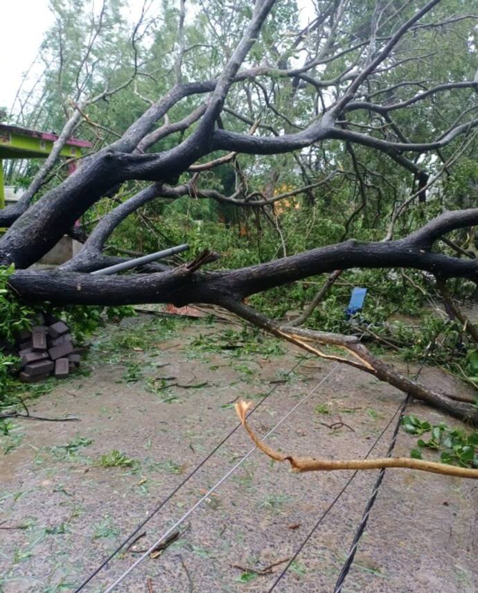 আমফানের ধ্বংসলীলার চিহ্ন তিলত্তমা জুড়ে, বিপর্যস্ত বিদ্যুৎ পরিষেবা