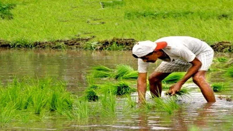 Officers makes farmers stay outside office in madikeri