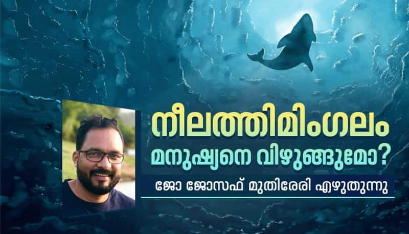 unknown facts of blue whales by Joe joseph Muthireri