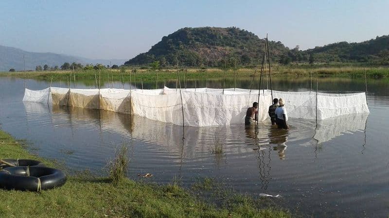 jaljeevika working for fisher folks