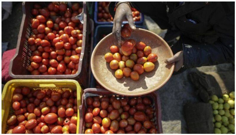 tiranga virus in maharashtra in tomatoe fields