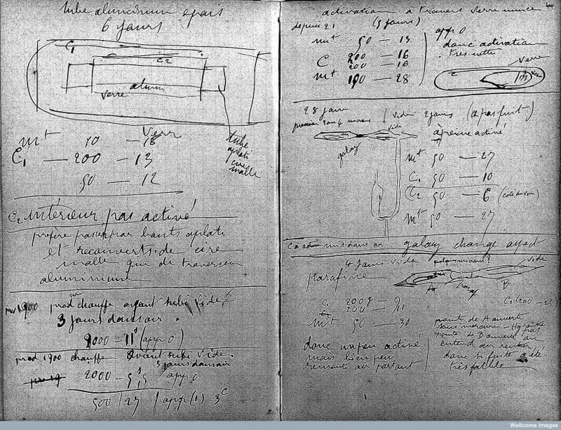 life and death of marie curie by Joe Joseph Muthireri