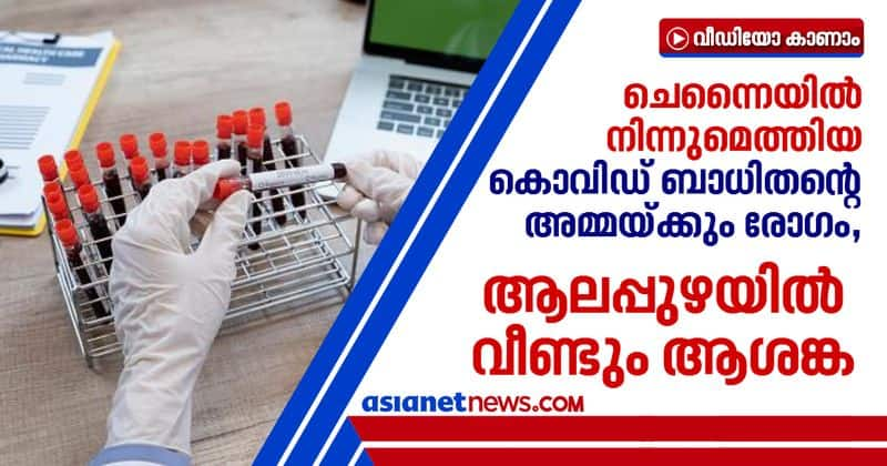 five covid positive cases reported in alappuzha