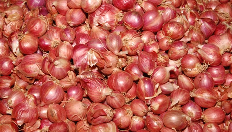 unknown health benefits of shallots