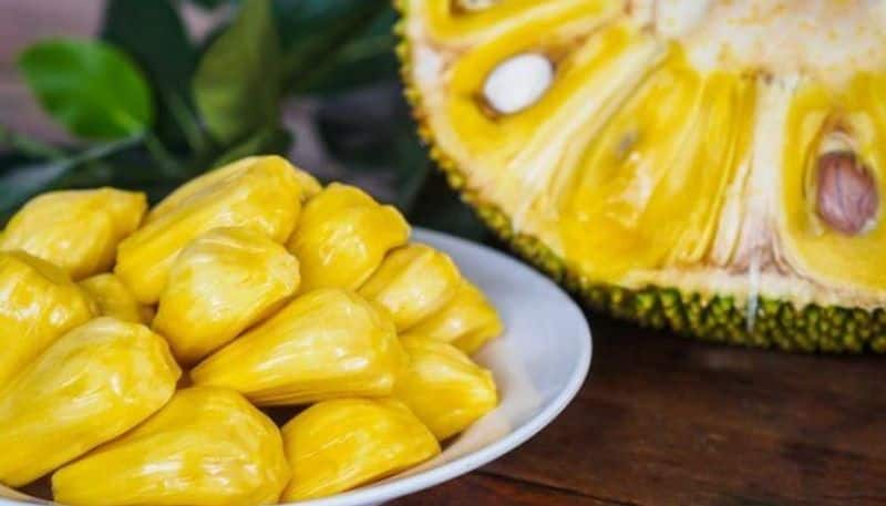 Jackfruit From boosting sperm count to many hidden benefits; know more about king of South Indian fruits-snj