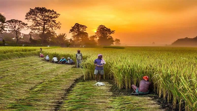 Pradhan Mantri Kisan Samman Nidhi apk