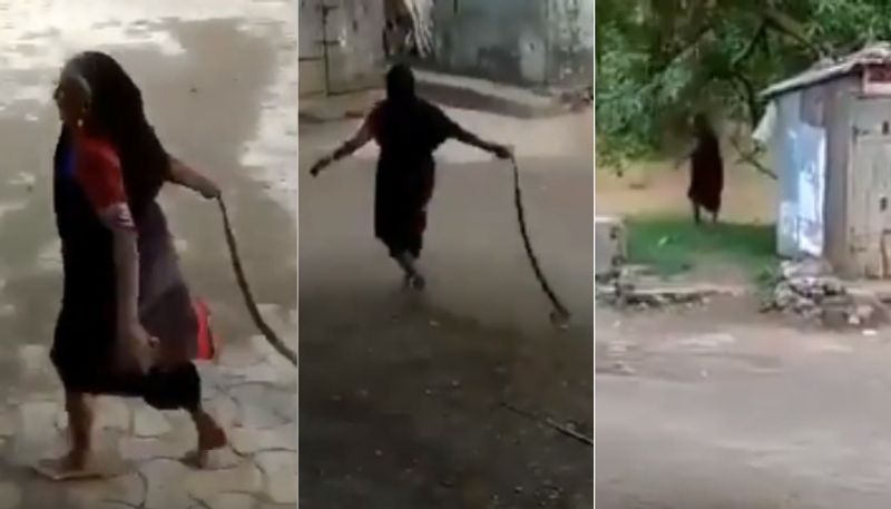 video of elderly woman dragging cobra by tail and throwing it get viral