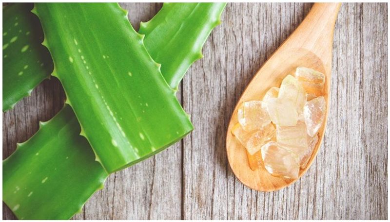 aloe vera face pack for healthy skin