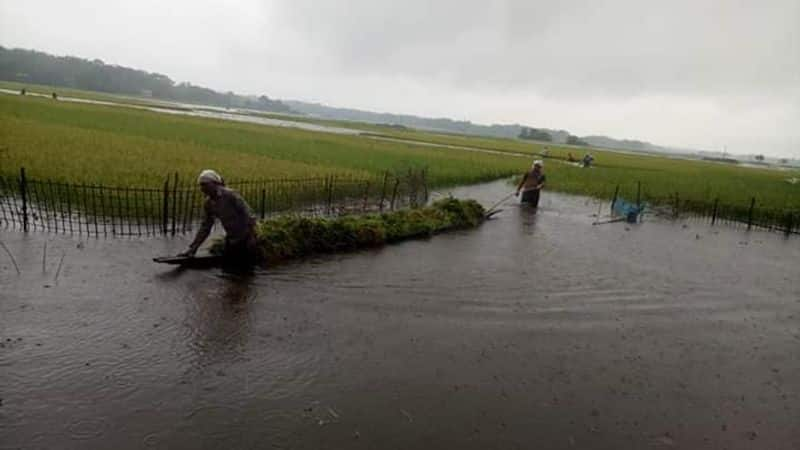 9 district Jillunnu heavy rain