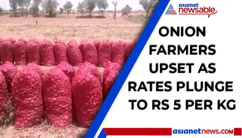 None to wipe tears of Jodhpur farmers as onion prices slump to Rs 5 in Rajasthan