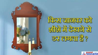 वह कौन सा इंसान है जिसका कहीं कोई टिकट नहीं लगता, IAS इंटरव्यू में पूछे इस सवाल का जवाब कर देगा लोट-पोट