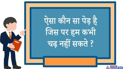 ये चींटिया लाइन में क्यों चलती हैं? जमीन से जुड़े अटपटे सवाल का कैंडिडेट ने दिया वैज्ञानिक जवाब