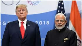 US Election 2024: What Donald Trump victory could mean for India-US economic relations? HERE's expert opinion dmn