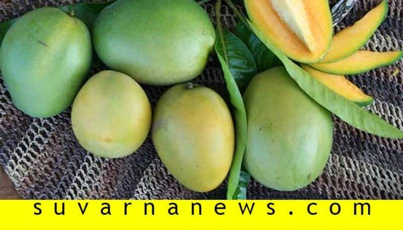 People not Interest to Purchase Mango due to Coronavirus Panic in Yelburga in Koppal District