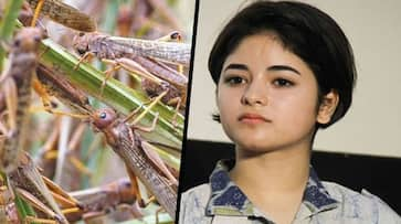 Attitude worse than locust attacks: Zaira Wasim ascribes attacks to wrath of God