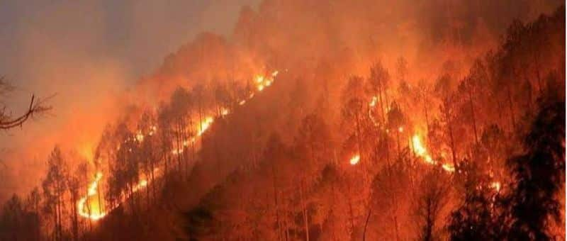 Fact Check Of Uttarakhand forest fires photo goes Viral