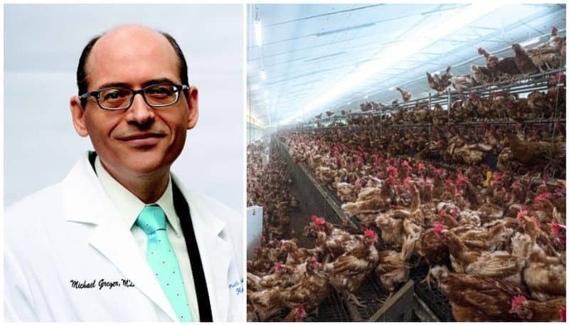 scientist Dr Michael Greger says Killer virus from chicken farms could wipe out half of mankind