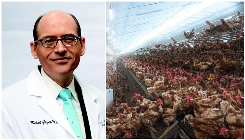 scientist Dr Michael Greger says Killer virus from chicken farms could wipe out half of mankind