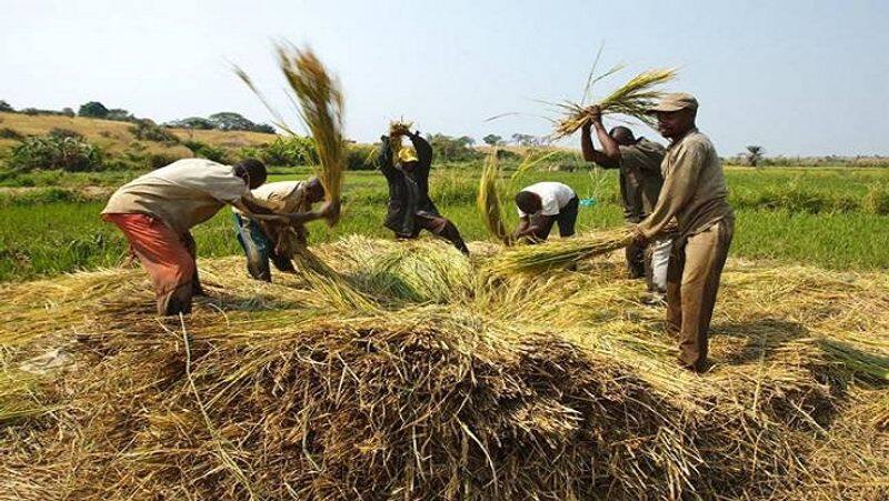 BJP government is trying to ruin the future of the farmers...ks alagiri