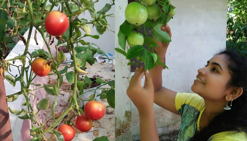 story of jalaja who loves gardening