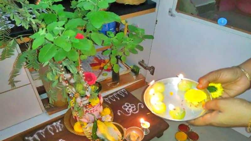 When is Tulsi Puja? What is the Reason Behind Why celebrate Tulsi Puja? rsk