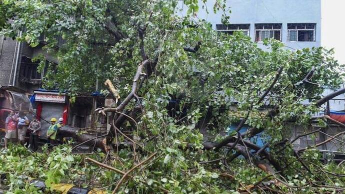 আমফানের সঙ্গে কতটা তাল মেলাল নিসর্গ. দেখে নিন ঝড় বিধ্বস্ত মহারাষ্ট্রের ছবি