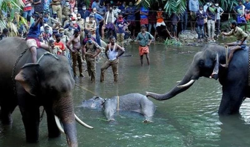 Asianet Image Asianet Image