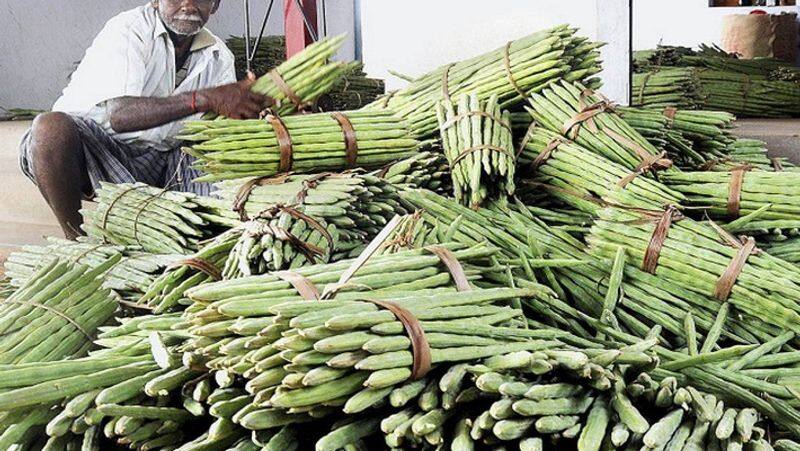 The prices of drumsticks and carrots have slightly decreased in Chennai Koyambedu market KAK