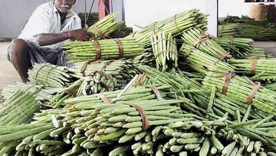 ना नौकरी जाने का डर ना करनी पड़ेगी किसी की चाकरी, सिर्फ 50 हजार में शुरू करें ये काम; लाखों में कमाई