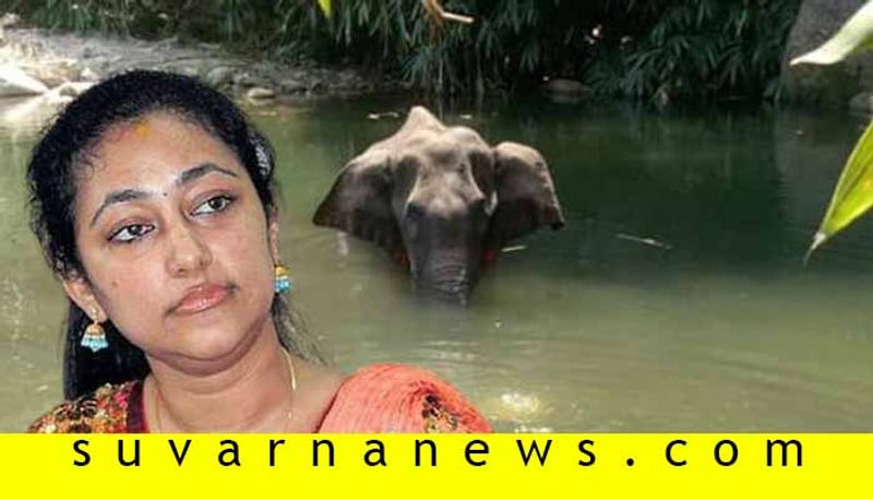 Kannada darshan wife vijayalakshmi tweets about Kerala pregnant elephant incident