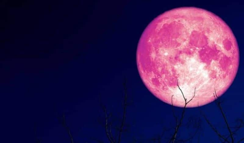 Pink Moon 2022 Know date time significance and other details gcw