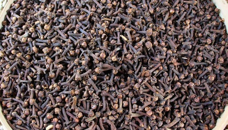 how to grow clove in home