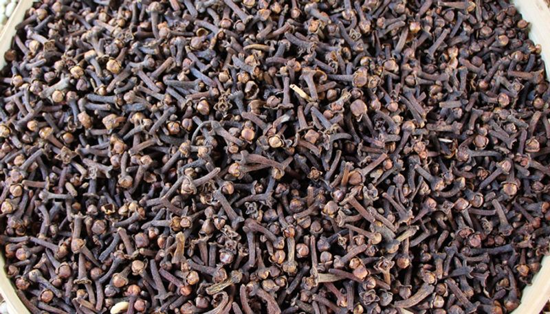 how to grow clove in home