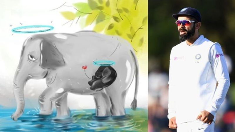 Death of  pregnant elephant in Kerala Virat kohli rohit sharma urge people to end  cowardly acts