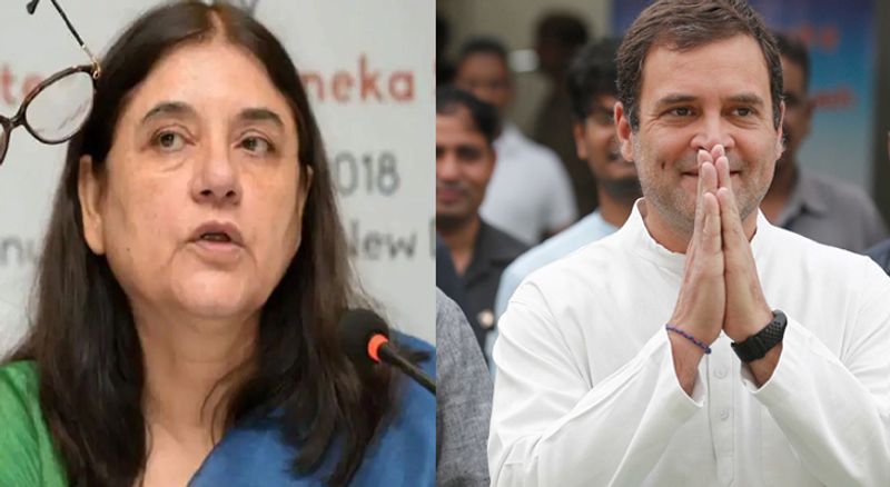 Menaka Gandhi slams Rahul Gandhi silent on culprits of Kerala elephant death