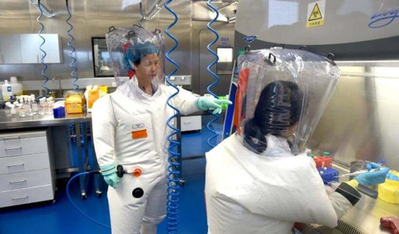 Joint WHO China study states animals likely source of COVID 19